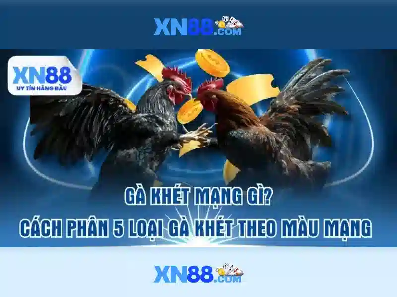 Khuyến mãi và quyền lợi người dùng