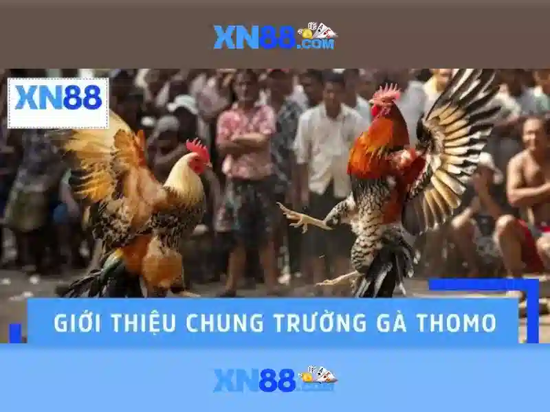 Giới thiệu về xn88