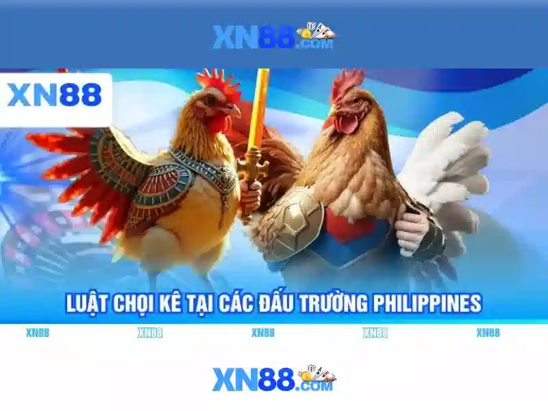 Tính năng nổi bật của xn88 Tính năng nổi bật của xn88