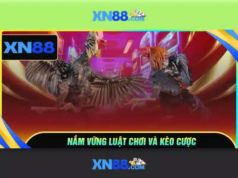 Hỗ trợ người dùng và cộng đồng