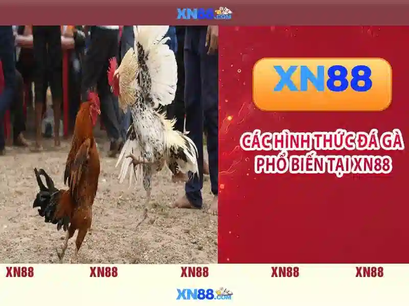 Các tính năng nổi bật Các tính năng nổi bật