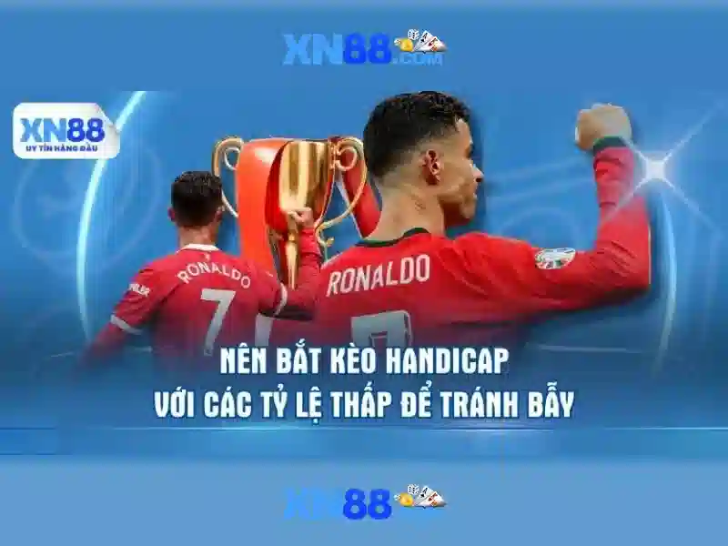Các tính năng nổi bật