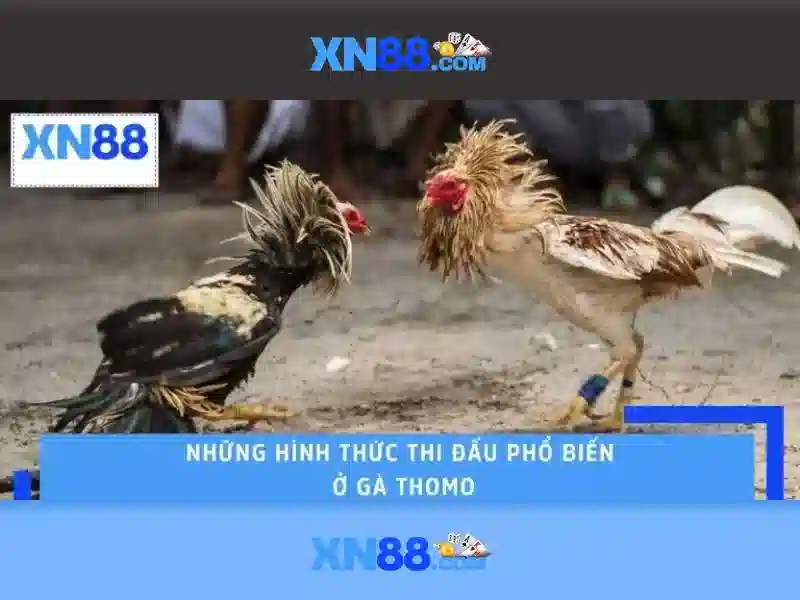 Mẹo và chiến lược Mẹo và chiến lược