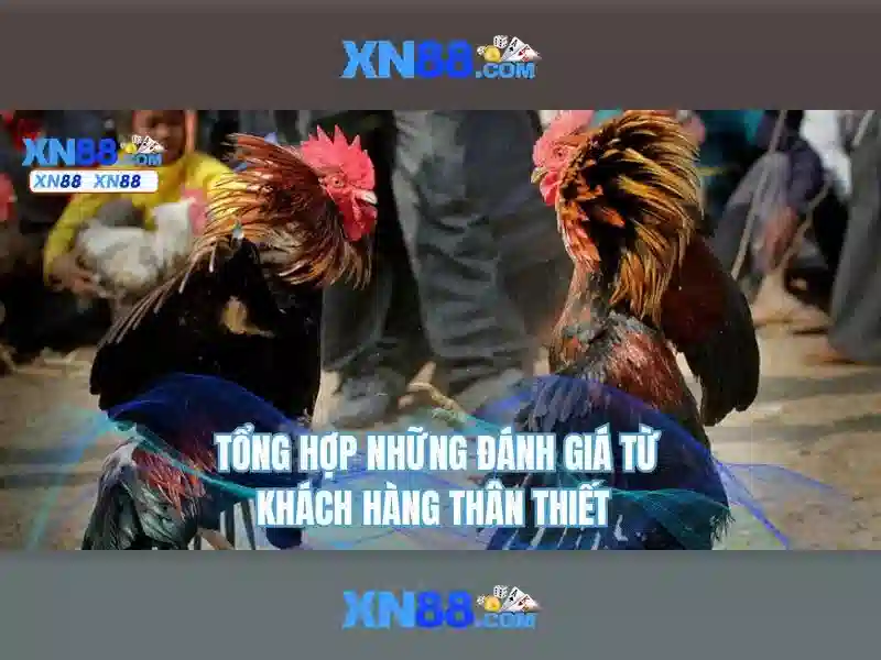 Xn88: Nền tảng giải trí trực tuyến và cộng đồng người chơi 1 Đăng Nhập