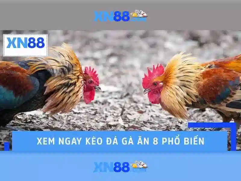 XN88: Nen tang tro choi truc tuyen noi bat 1 Đăng Nhập