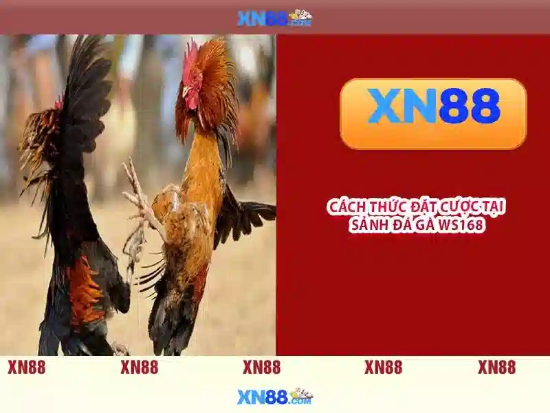 <!--IMG_PLACEHOLDER alt>Nguồn gốc từ khóa và sứ mệnh-->