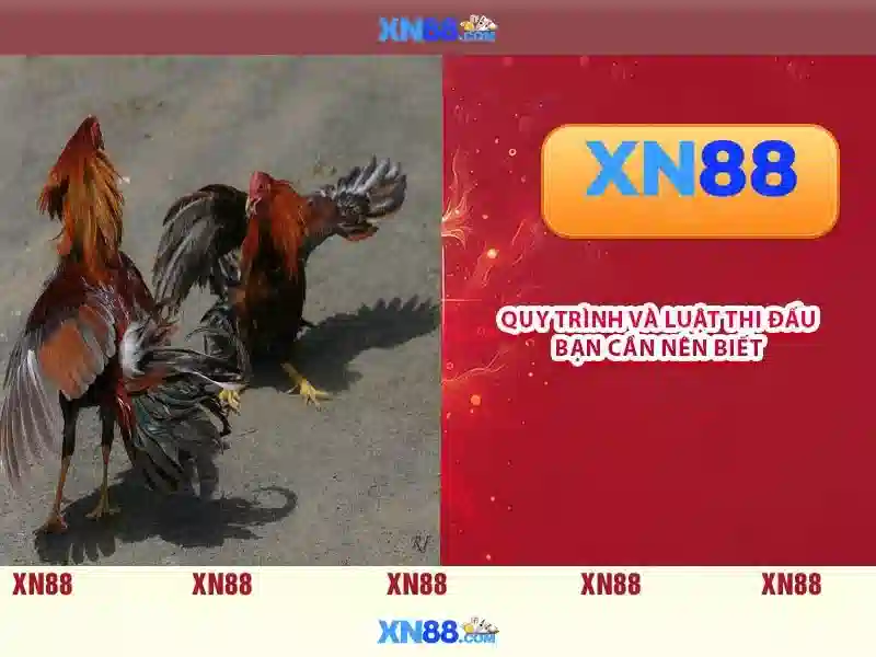 Giao diện người dùng và trải nghiệm\n<h5>Bảo mật và tính minh bạch</h5>\n<p>Xn88 chú trọng tới bảo mật dữ liệu và sự riêng tư của người dùng bằng cách áp dụng mã hóa TLS, xác thực hai yếu tố (2FA) và các kiểm toán bảo mật độc lập. Chính sách quyền riêng tư được thiết kế minh bạch và người dùng có quyền kiểm soát dữ liệu của mình.</p>\n<h6>Hướng dẫn tham gia và thanh toán</h6>\n<p>Để tham gia XN88, người dùng cần đăng ký tài khoản, xác minh danh tính và chấp nhận điều khoản sử dụng. Hướng dẫn nạp tiền và rút tiền với các phương thức thanh toán phổ biến, thời gian xử lý và các giới hạn phù hợp với khu vực. Nếu gặp sự cố, hệ thống hỗ trợ khách hàng 24/7 luôn sẵn sàng để trợ giúp.</p> Giao diện người dùng và trải nghiệm\n<h5>Bảo mật và tính minh bạch</h5>\n<p>Xn88 chú trọng tới bảo mật dữ liệu và sự riêng tư của người dùng bằng cách áp dụng mã hóa TLS, xác thực hai yếu tố (2FA) và các kiểm toán bảo mật độc lập. Chính sách quyền riêng tư được thiết kế minh bạch và người dùng có quyền kiểm soát dữ liệu của mình.</p>\n<h6>Hướng dẫn tham gia và thanh toán</h6>\n<p>Để tham gia XN88, người dùng cần đăng ký tài khoản, xác minh danh tính và chấp nhận điều khoản sử dụng. Hướng dẫn nạp tiền và rút tiền với các phương thức thanh toán phổ biến, thời gian xử lý và các giới hạn phù hợp với khu vực. Nếu gặp sự cố, hệ thống hỗ trợ khách hàng 24/7 luôn sẵn sàng để trợ giúp.</p>
