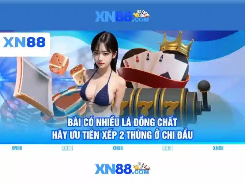 Giới thiệu về XN88