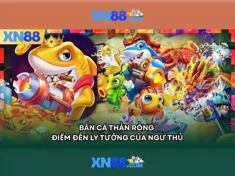 Kết luận về XN88