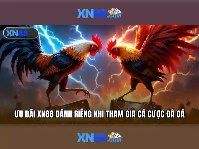  Sản phẩm và dịch vụ cốt lõi của xn88 sa