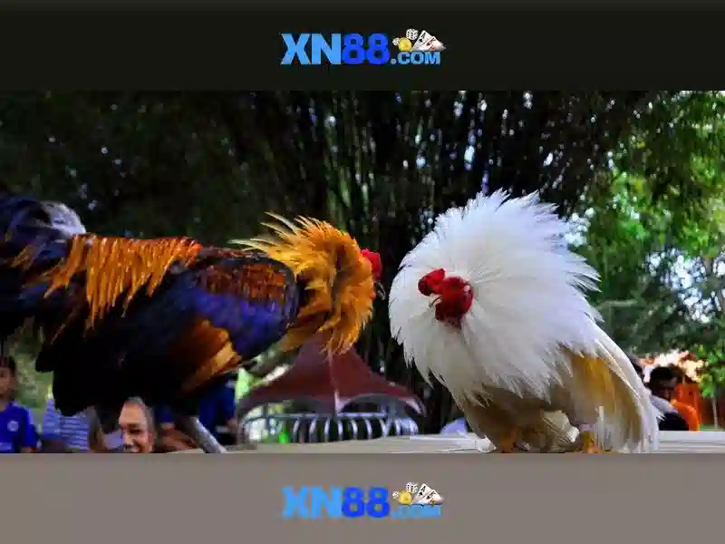 Dự án xn88 và công nghệ