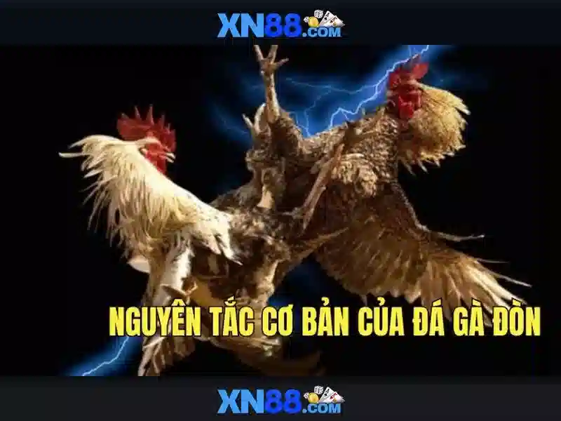 An toàn và trách nhiệm An toàn và trách nhiệm