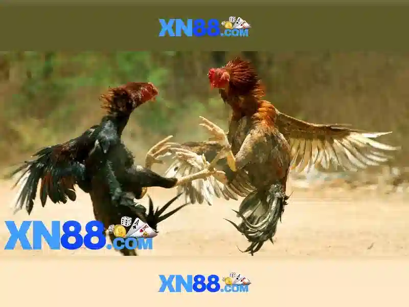 xn88: Khám phá nền tảng giải trí trực tuyến 1 Đăng Nhập