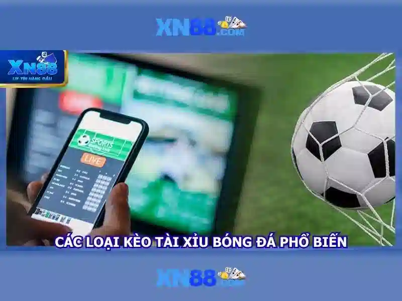 Kết luận về xn88