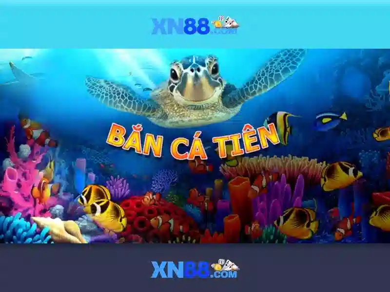 Giới thiệu về xn88