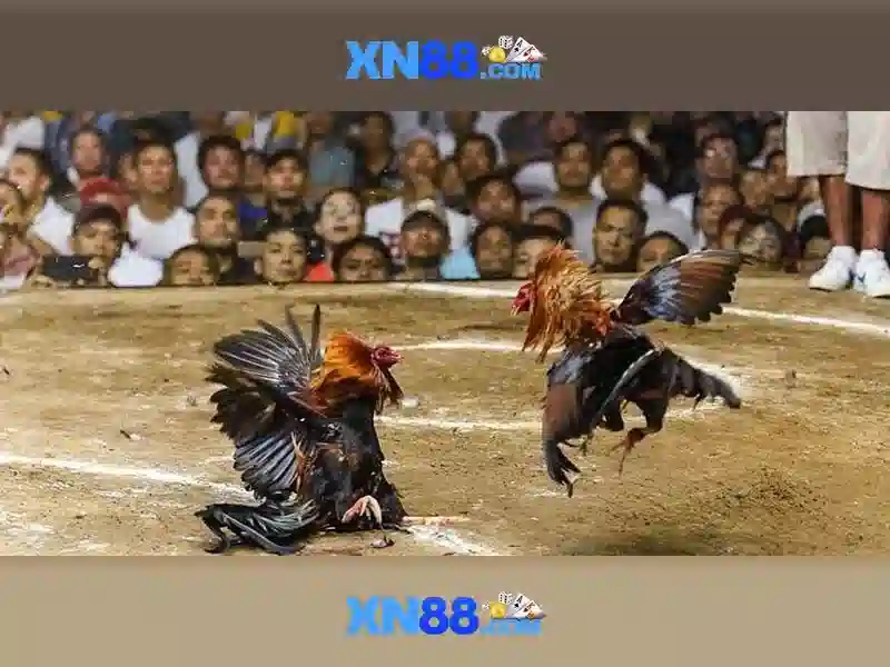 Go88