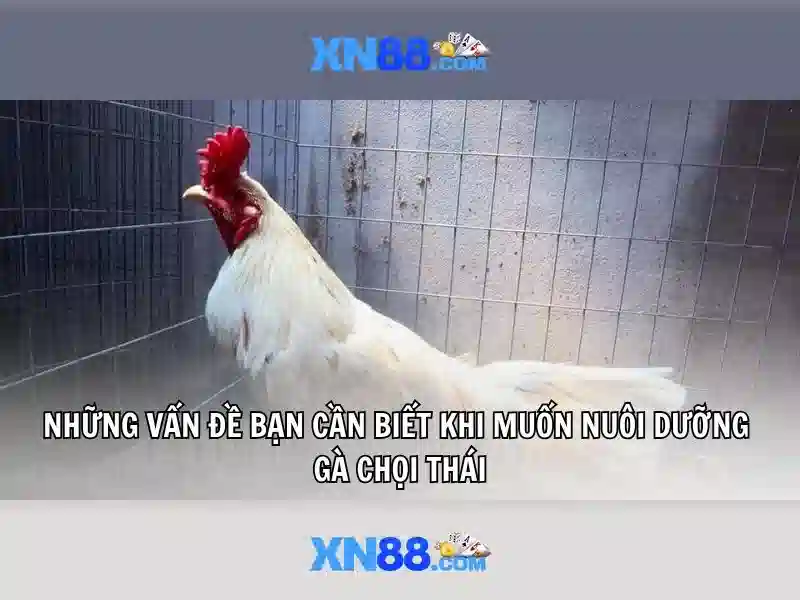 Nguồn gốc và phát triển\n<h>Tương lai và định hướng</h>\n<p>Những bước đi sắp tới của xn88 nhắm tới mở rộng danh mục trò chơi, tối ưu hoá trải nghiệm người dùng trên di động và máy tính để bàn, đồng thời tăng cường các chương trình khuyến mãi và chăm sóc khách hàng nhằm duy trì sự hài lòng của người chơi lâu dài.</p> Nguồn gốc và phát triển\n<h>Tương lai và định hướng</h>\n<p>Những bước đi sắp tới của xn88 nhắm tới mở rộng danh mục trò chơi, tối ưu hoá trải nghiệm người dùng trên di động và máy tính để bàn, đồng thời tăng cường các chương trình khuyến mãi và chăm sóc khách hàng nhằm duy trì sự hài lòng của người chơi lâu dài.</p>