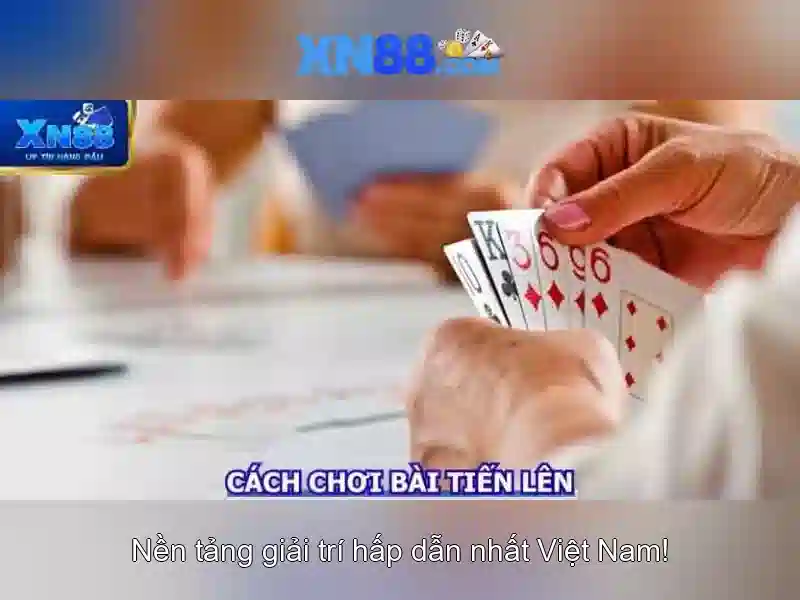 Trai nghiem nguoi dung va phan hoi