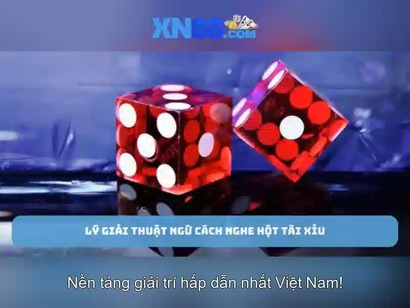 Các trò chơi và chức năng Các trò chơi và chức năng