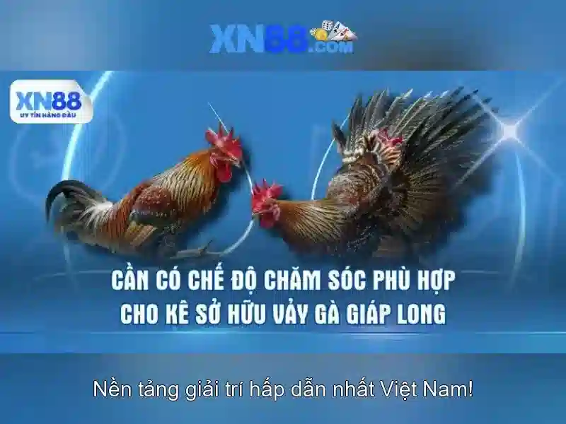An toàn và lưu ý khi tham gia xn88 An toàn và lưu ý khi tham gia xn88