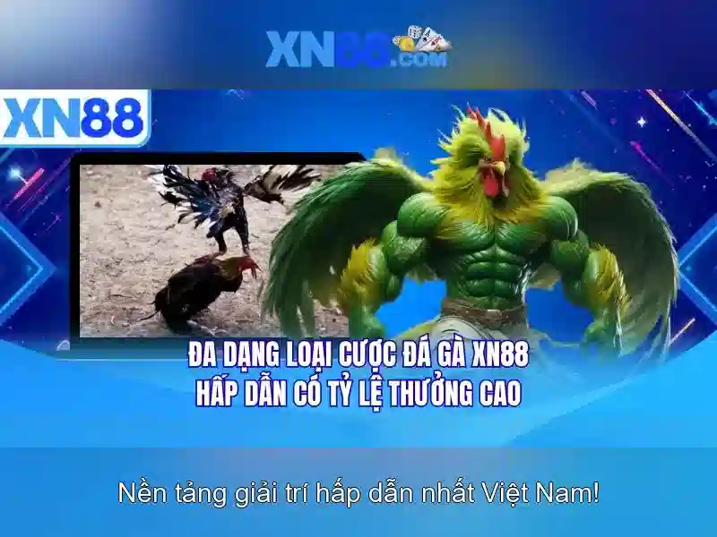Giao diện người dùng và trải nghiệm Giao diện người dùng và trải nghiệm
