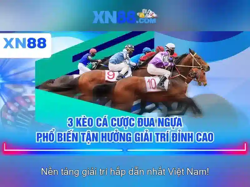 Xn88: Nền tảng giải trí trực tuyến và những điều cần biết 1 Đăng Nhập