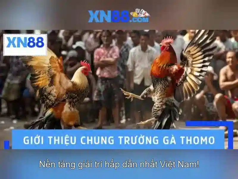 XN88: Giới thiệu và các tính năng nổi bật 1 Đăng Nhập