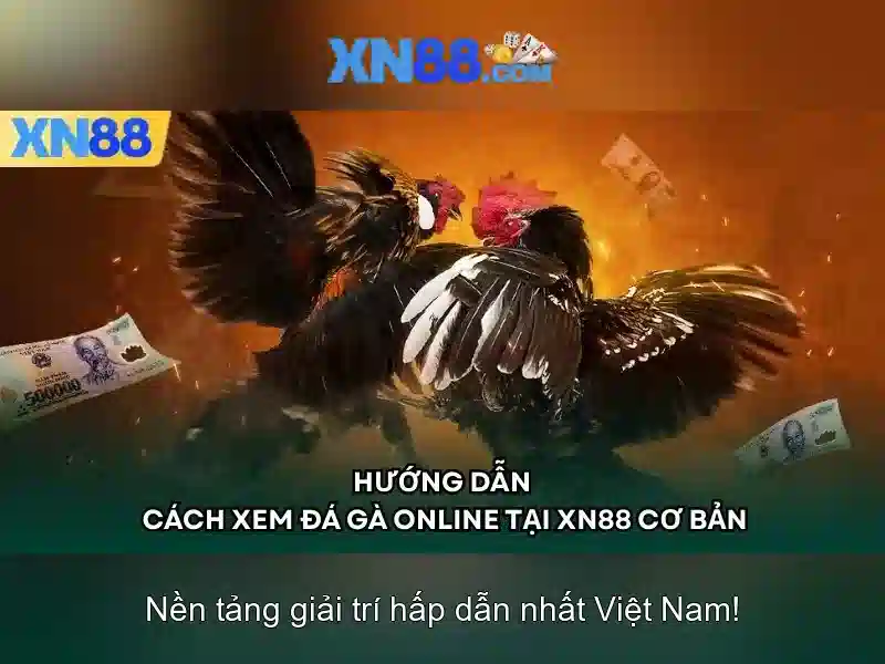 Soi kèo hiệp 1