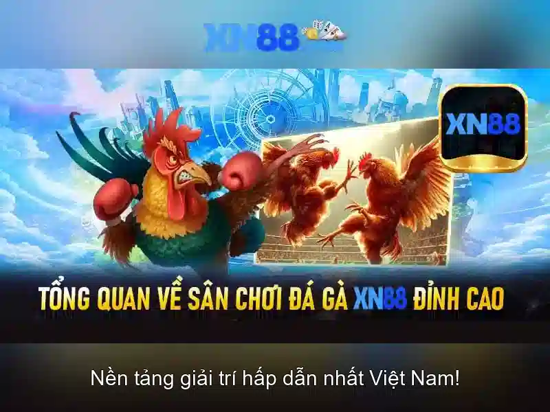 Xn88 - Tổng quan về nền tảng giải trí trực tuyến Soi kèo hiệp 1