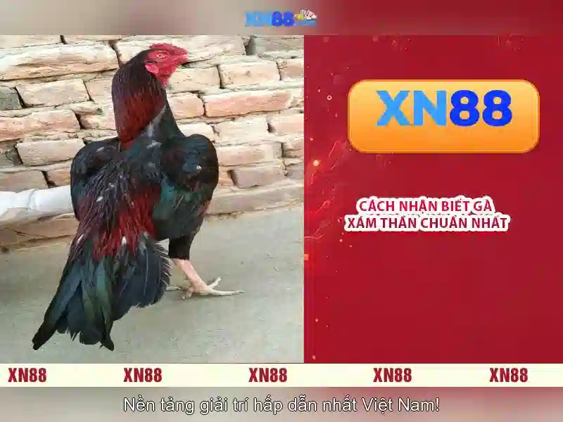 Đăng Nhập