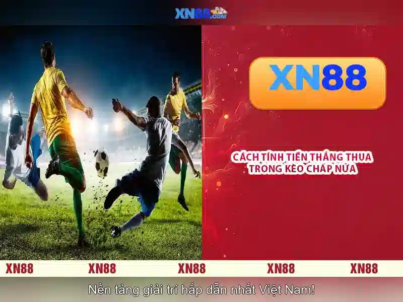 album xn88 album xn88 xn88 – Tổng quan chủ đề và giá trị cốt lõi