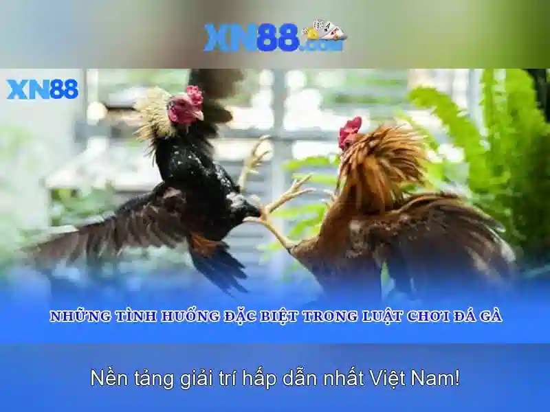 Soi kèo hiệp 1