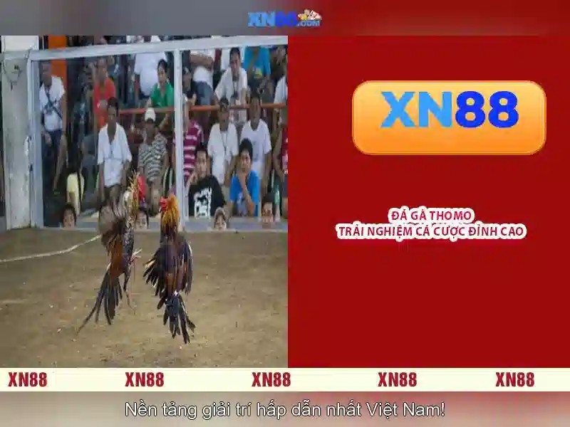 xn88: Đánh giá nền tảng game trực tuyến và cá cược 1 Đăng Nhập