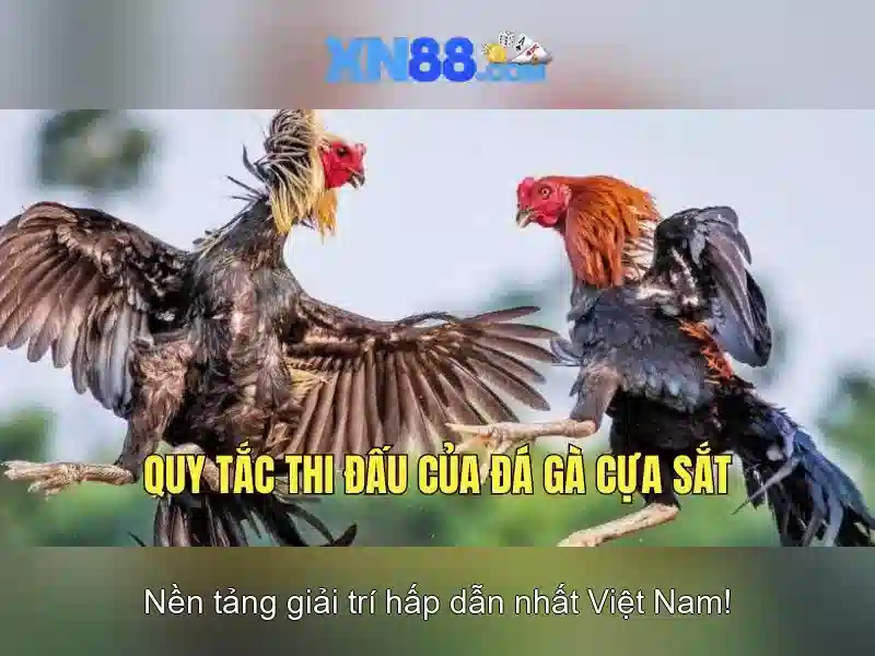 Giới thiệu về xn88 Giới thiệu về xn88