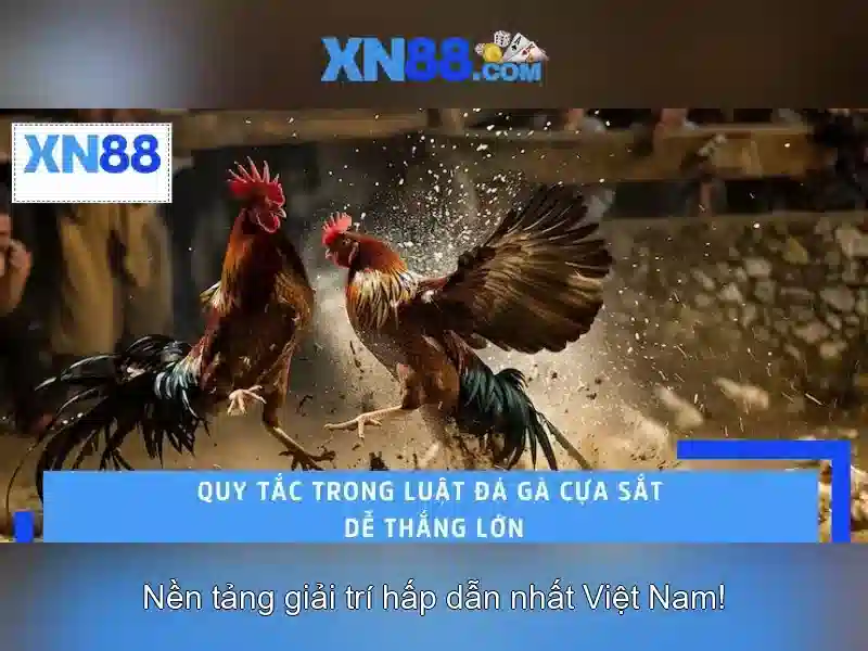 Đăng Nhập