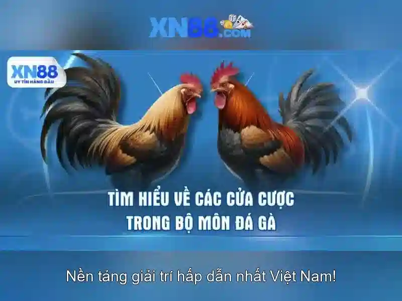 Các loại trò chơi có mặt tại xn88\n<h2>Hướng dẫn đăng ký và bảo mật</h2>\n<p>Để tham gia, người dùng cần cung cấp thông tin cơ bản, xác thực tài khoản và thiết lập mật khẩu mạnh. Bảo mật dữ liệu và tuân thủ điều khoản là nền tảng cho một trải nghiệm an toàn và tin cậy trên xn88.</p>\n\n<h3>Lưu ý về khuyến mãi và rút tiền</h3>\n<p>Trước khi tham gia, hãy đọc kỹ điều kiện khuyến mãi và quy trình rút tiền. Các chương trình ưu đãi mang lại giá trị thực nếu bạn nắm rõ điều kiện và thời gian yêu cầu.</p>\n\n<h3>Kết luận</h3>\n<p>xn88 tiếp tục mở rộng các lựa chọn cược và cải thiện dịch vụ chăm sóc khách hàng, nhằm mang lại trải nghiệm trực tuyến tiện lợi và an toàn cho người chơi ở nhiều khu vực.</p> Các loại trò chơi có mặt tại xn88\n<h2>Hướng dẫn đăng ký và bảo mật</h2>\n<p>Để tham gia, người dùng cần cung cấp thông tin cơ bản, xác thực tài khoản và thiết lập mật khẩu mạnh. Bảo mật dữ liệu và tuân thủ điều khoản là nền tảng cho một trải nghiệm an toàn và tin cậy trên xn88.</p>\n\n<h3>Lưu ý về khuyến mãi và rút tiền</h3>\n<p>Trước khi tham gia, hãy đọc kỹ điều kiện khuyến mãi và quy trình rút tiền. Các chương trình ưu đãi mang lại giá trị thực nếu bạn nắm rõ điều kiện và thời gian yêu cầu.</p>\n\n<h3>Kết luận</h3>\n<p>xn88 tiếp tục mở rộng các lựa chọn cược và cải thiện dịch vụ chăm sóc khách hàng, nhằm mang lại trải nghiệm trực tuyến tiện lợi và an toàn cho người chơi ở nhiều khu vực.</p>