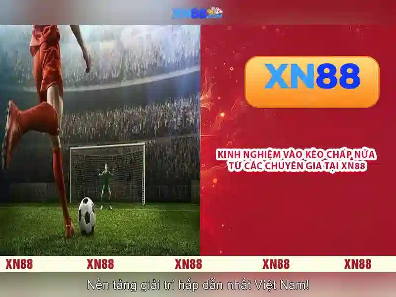 Giới thiệu về xn88 Giới thiệu về xn88