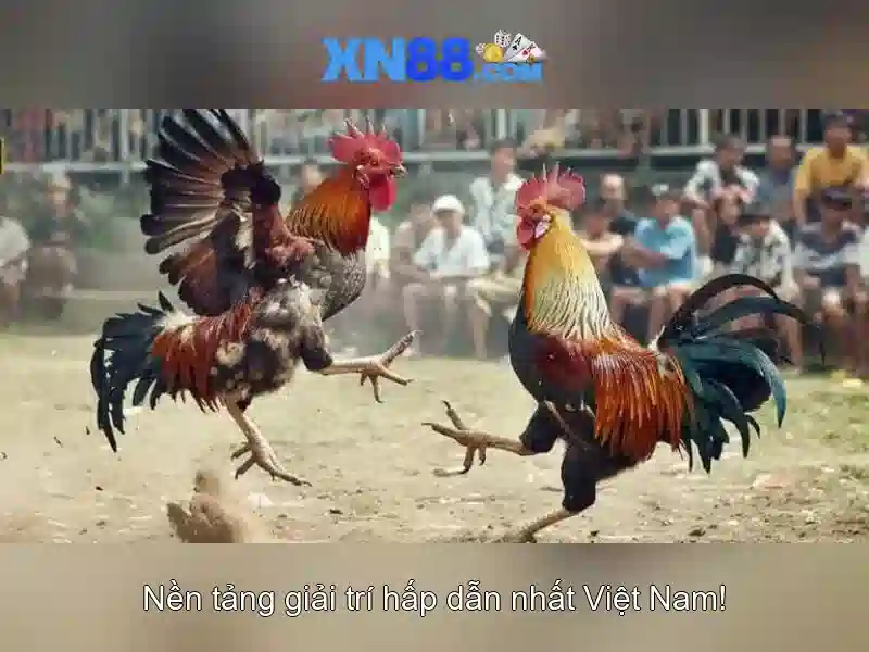 An toàn và thanh toán\n<h2>Đánh giá và kết luận</h2>\n<p>Tóm lại, xn88 là một lựa chọn tiềm năng cho người chơi đang tìm kiếm sự đa dạng và trải nghiệm mượt mà. Tuy nhiên, như ở bất kỳ nền tảng nào, người chơi nên áp dụng quản lý ngân sách và chơi có trách nhiệm.</p> An toàn và thanh toán\n<h2>Đánh giá và kết luận</h2>\n<p>Tóm lại, xn88 là một lựa chọn tiềm năng cho người chơi đang tìm kiếm sự đa dạng và trải nghiệm mượt mà. Tuy nhiên, như ở bất kỳ nền tảng nào, người chơi nên áp dụng quản lý ngân sách và chơi có trách nhiệm.</p>
