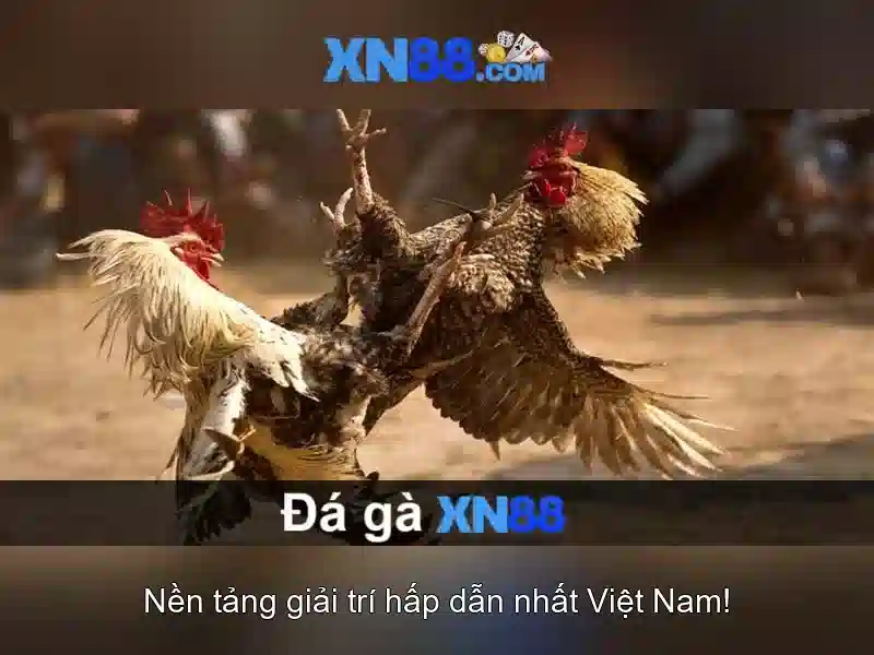 Đăng Nhập