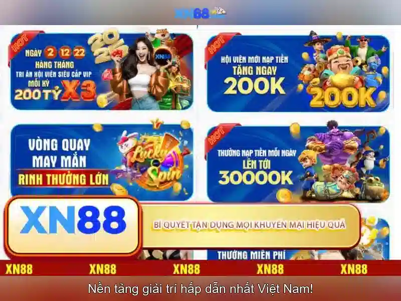 Kết luận về XN88 Kết luận về XN88