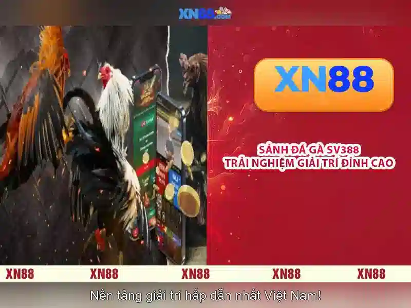 Giới thiệu về xn88 Giới thiệu về xn88