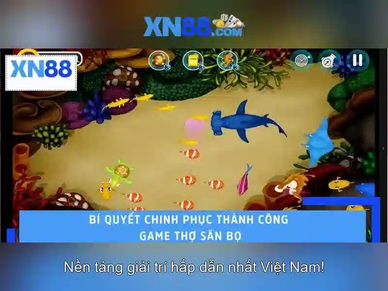 Giao diện và trải nghiệm người dùng