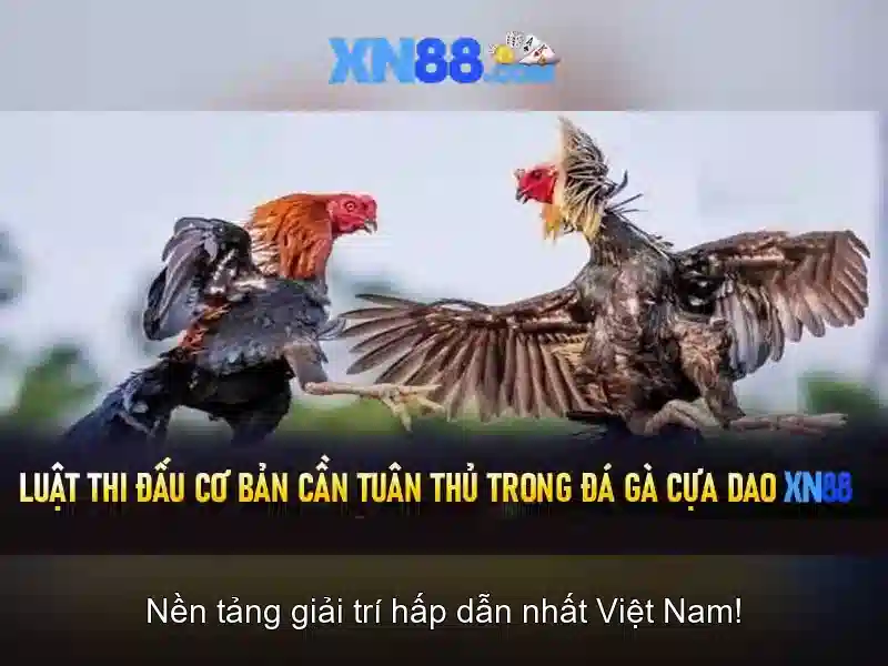 Giới thiệu về xn88 Giới thiệu về xn88
